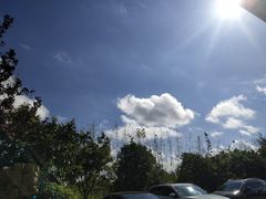 -上海崇明金茂凯悦酒店