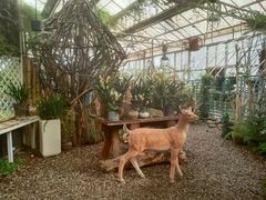 -石家庄市植物园