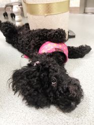 -斐尔国际皮肤管理中心