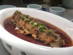 -大榕树下顺德菜(融创茂店)