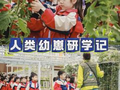 -金豆子幼稚园