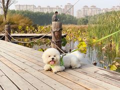 -马家湾湿地公园