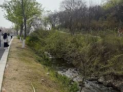 -羊山湖公园