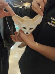 -Zoolung Zoolung动物主题公园(海信广场店)