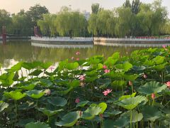 -丰台花园
