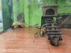 -荆州中山公园动物园