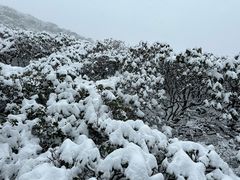 -苍山感通索道