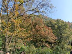 -广州市石门国家森林公园