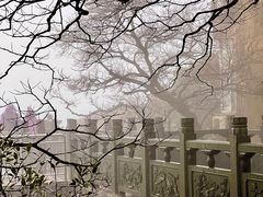 -普陀山风景区-佛顶山