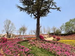 -沂蒙云瀑洞天景区