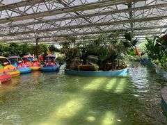 -南宫五洲植物乐园