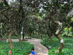 -黄埔荔枝公园