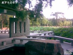 -南戴河国际娱乐中心