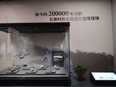 -岳阳市博物馆