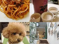 -三忘湖 SWANSEEN(柳荫公园店)