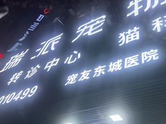 -东莞宠友24H宠物中心医院·转诊夜诊·异宠(新河北路院)