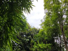 -成都川菜博物馆