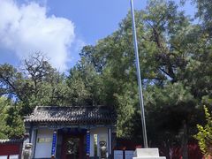 -泰山风景名胜区-普照寺