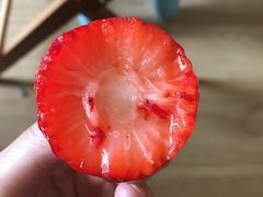 -比格比萨自助(新辰里学清路店)