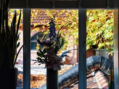-蝶舍·MAISON PAPILLON