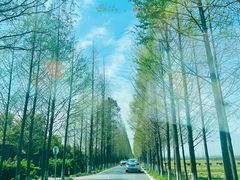 -太阳岛度假酒店