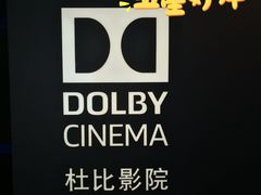 -万达影城(汉街万达广场IMAX店)