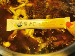 -花鲢鱼头火锅(春城东路店)