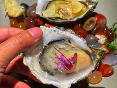 法国精选生蚝-ZHAO赵·牛扒坊(仁和新城店)