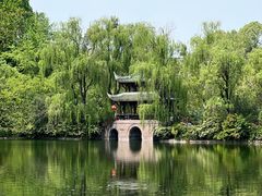 -棠湖公园