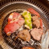 鳗鱼质量不错哦[点赞]