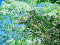 -国家植物园南园