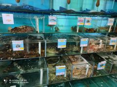 水产区-琼大师东方烤乳猪(亚特兰蒂斯店)