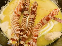 -鲜入围煮花胶鸡海鲜火锅