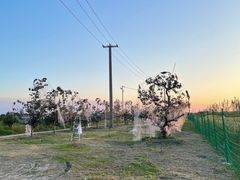 -嘉北郊野公园