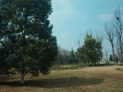 -白鹭湾湿地公园