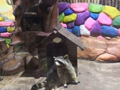 -顺德南宏海立方海洋公园