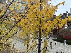 -柴门饭儿(成都太古里店)