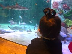 -沈阳海洋探索中心