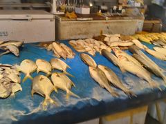 -大连双兴商品城