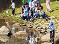 -四海公园(南山区)
