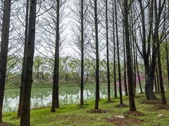 -苏州太湖国家湿地公园