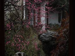 -杭州植物园