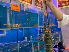 -好彩海鲜火锅饭店(银河百老汇店)