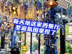 -IL TEATRO 精品意大利餐厅