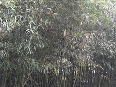 -竹泉村旅游度假区