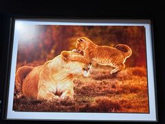 -罗红摄影艺术馆