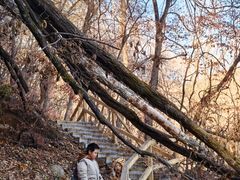 -五女峰国家森林公园