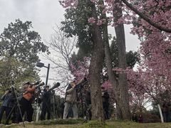 -南山植物园