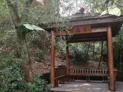 -天目湖山水园