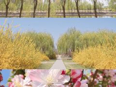 -东坝千亩湖公园